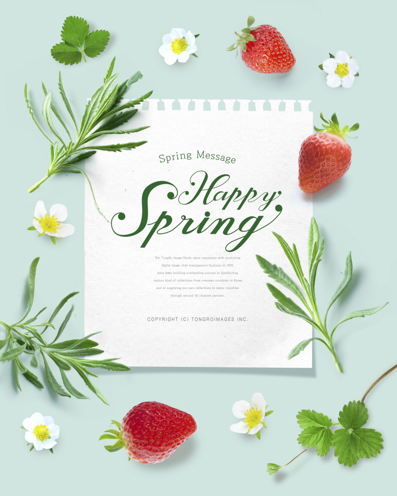 小清新春季草莓海报psd免费下载设计模板素材