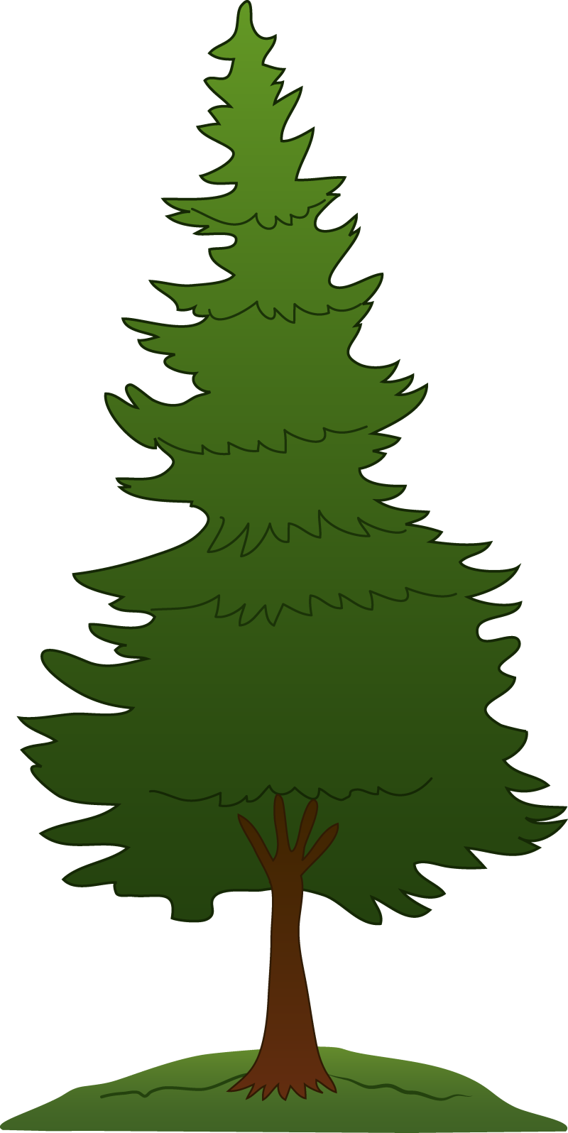 松树,树png剪贴画叶,剪贴画,分支机构,圣诞节装饰,草,树枝,云杉,图片