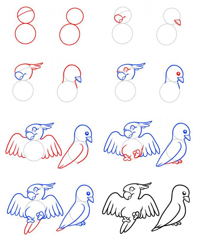 动物简笔画小鸟步骤图片