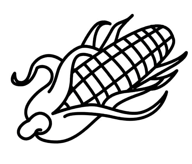郑州大玉米手绘简笔画图片