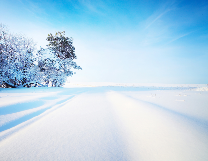 冬日唯美雪地风景图片