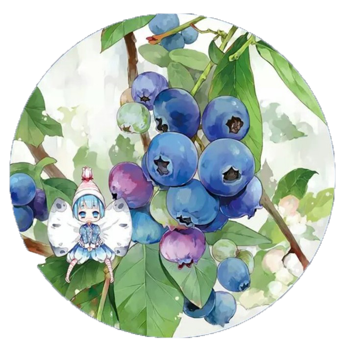蓝莓拟人头像图片