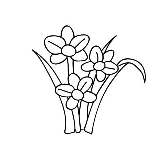 水仙简笔画种花图片