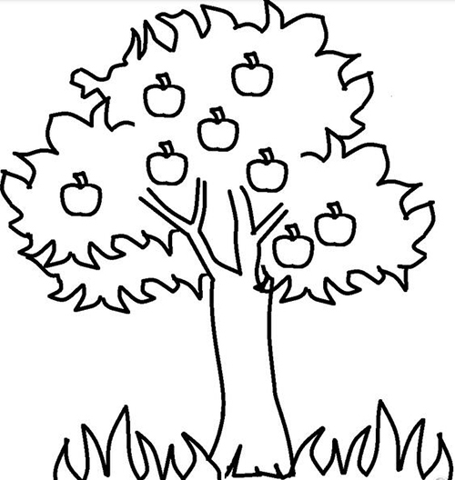 茂盛的树简笔画图片