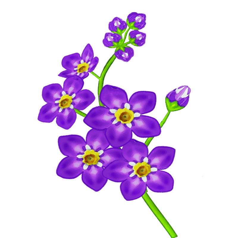 手绘紫色小花png透明素材
