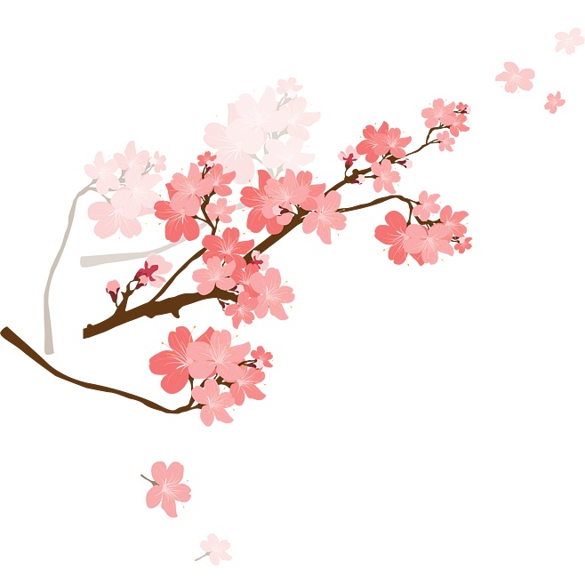 手绘粉色樱花