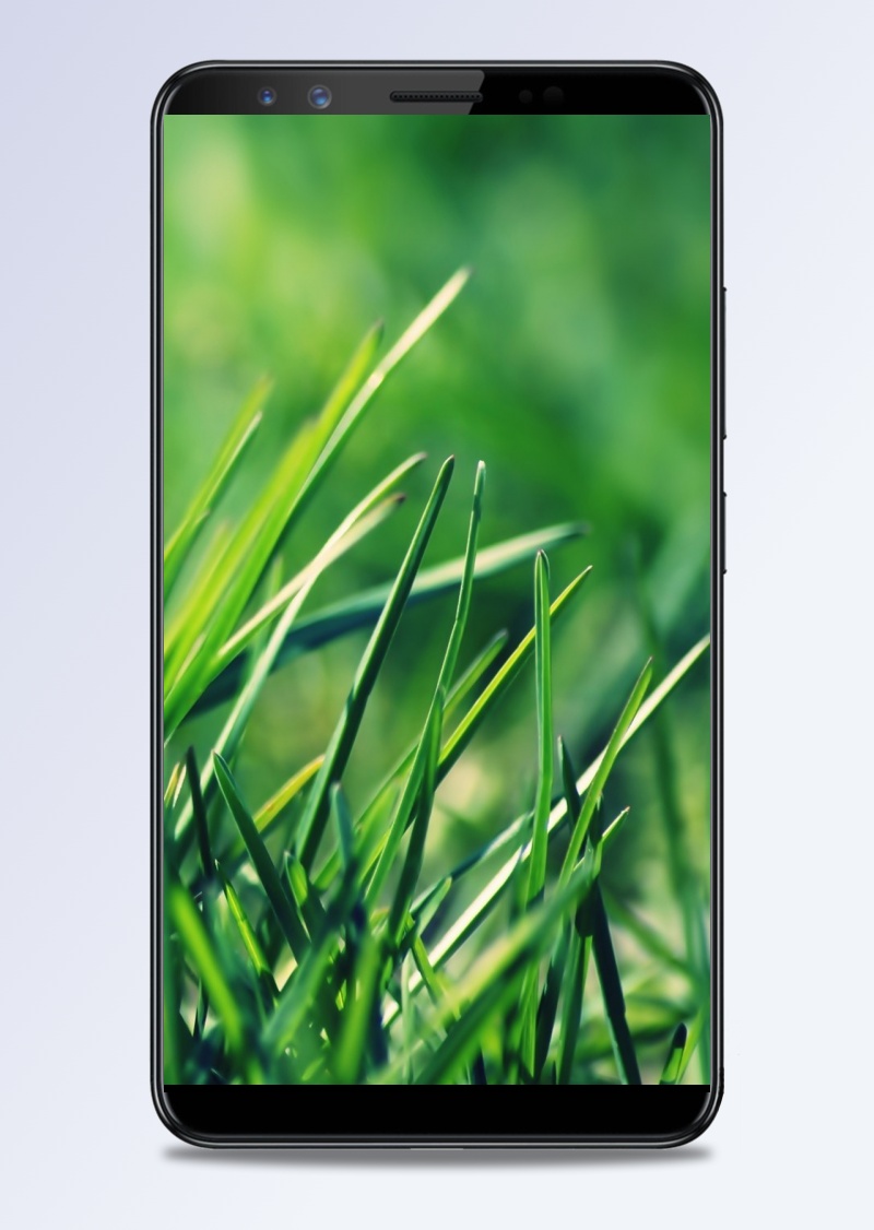 绿色草地手机屏幕图片