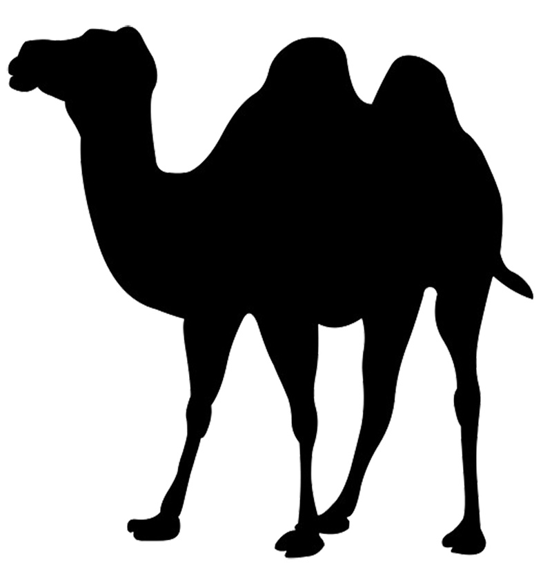 骆驼简笔画黑图片