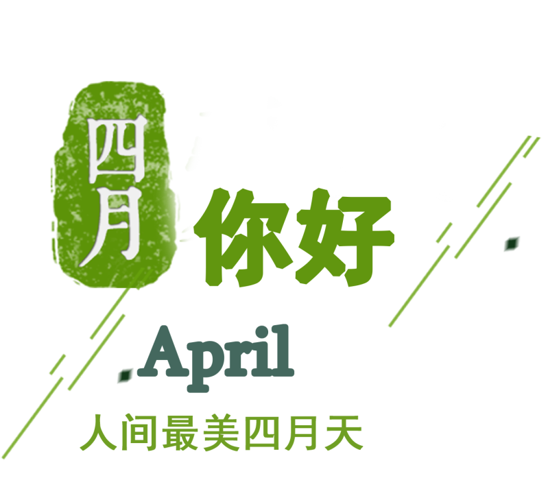 april花体字图片