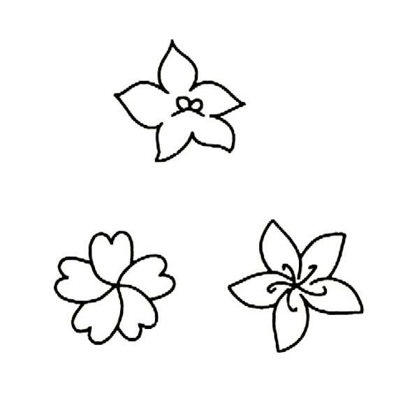五片花瓣的花简笔画图片