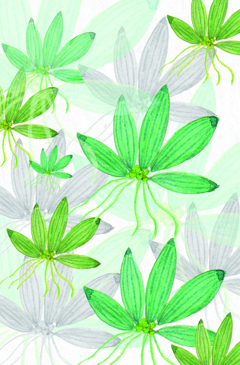 水彩手绘绿色植物叶子墙纸背景图案